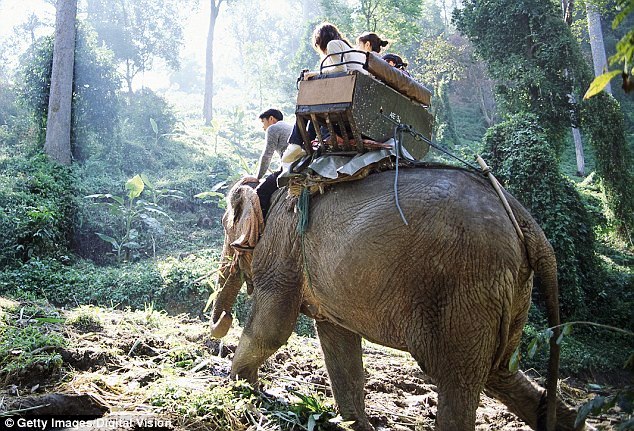 Xây dựng kênh phân phối và bí mật khi áp dụng bí mật người quản tượng