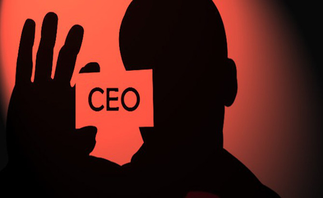 Để Amoeba, CEO Việt phải biết phân quyền